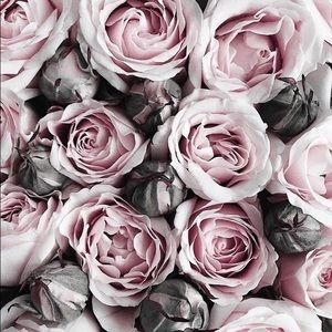 Meet your Posher, Dayna